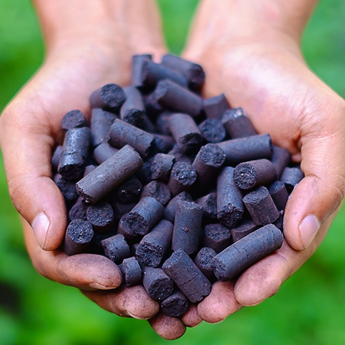 Applications and Benefits of Biochar and Pyrolysis Oil